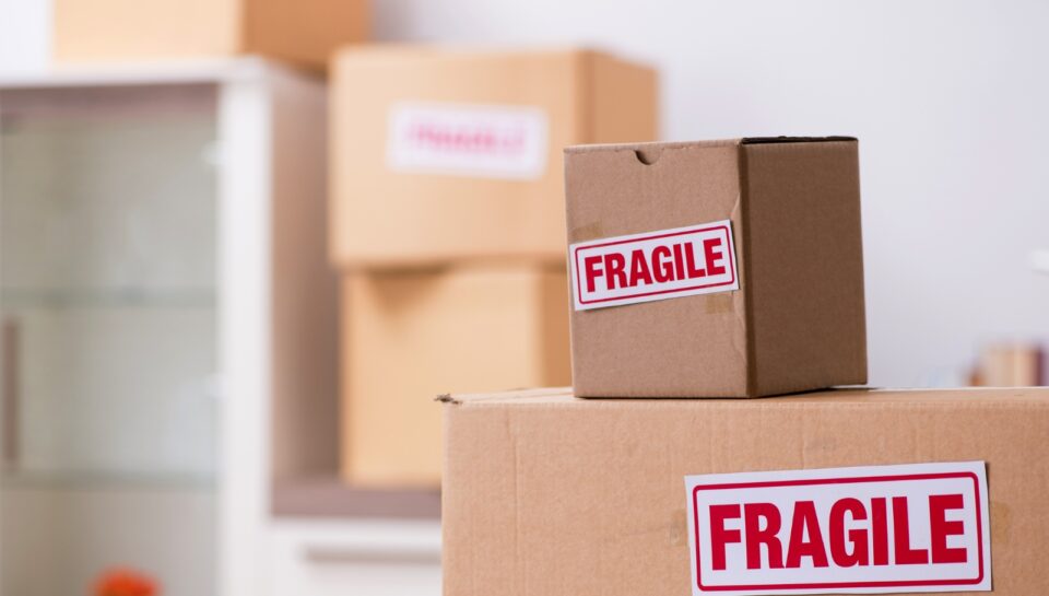 Untitled design (32)